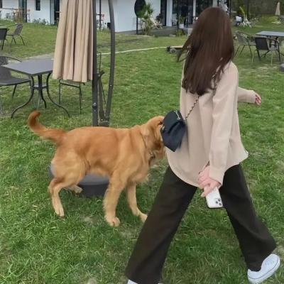 无头家族
